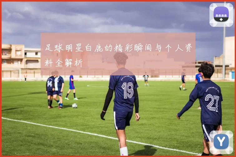 足球明星白鹿的精彩瞬间与个人资料全解析