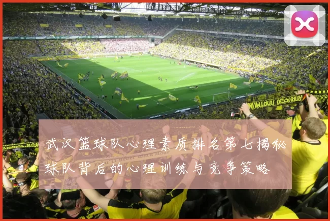 武汉篮球队心理素质排名第七揭秘球队背后的心理训练与竞争策略