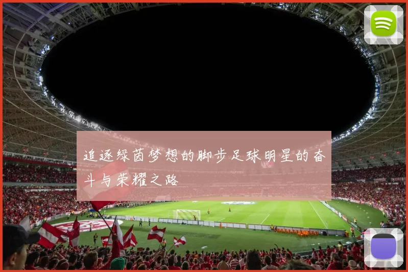 追逐绿茵梦想的脚步足球明星的奋斗与荣耀之路