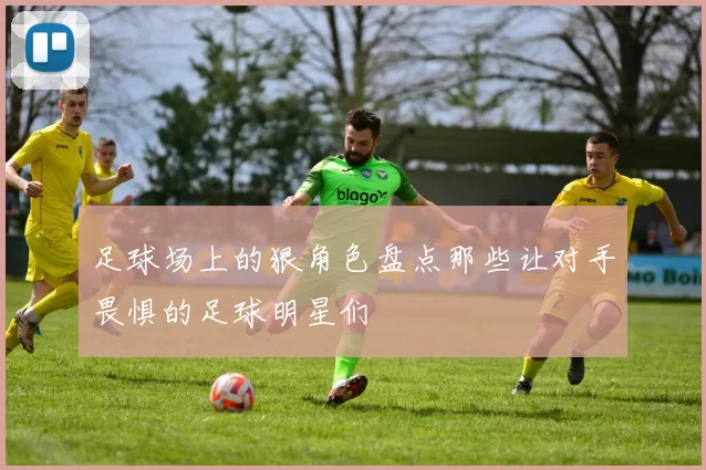 足球场上的狠角色盘点那些让对手畏惧的足球明星们
