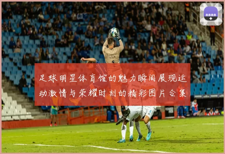 足球明星体育馆的魅力瞬间展现运动激情与荣耀时刻的精彩图片合集