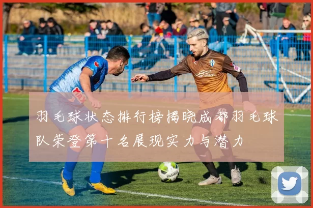羽毛球状态排行榜揭晓成都羽毛球队荣登第十名展现实力与潜力