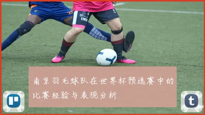 南京羽毛球队在世界杯预选赛中的比赛经验与表现分析