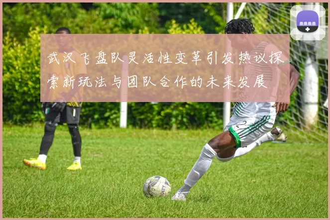 武汉飞盘队灵活性变革引发热议探索新玩法与团队合作的未来发展