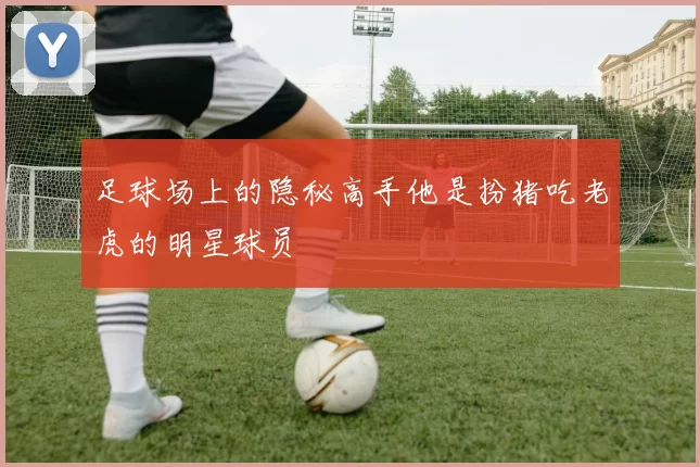 足球场上的隐秘高手他是扮猪吃老虎的明星球员