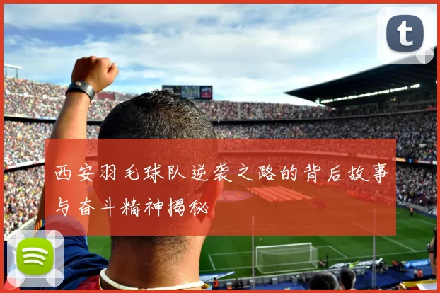 西安羽毛球队逆袭之路的背后故事与奋斗精神揭秘