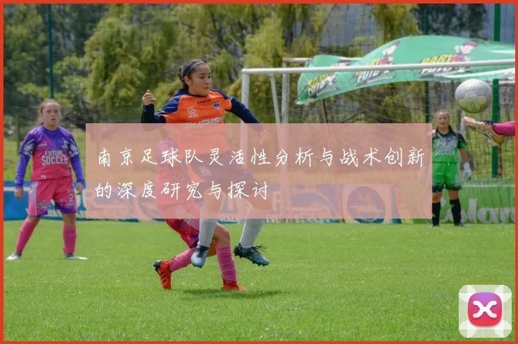 南京足球队灵活性分析与战术创新的深度研究与探讨