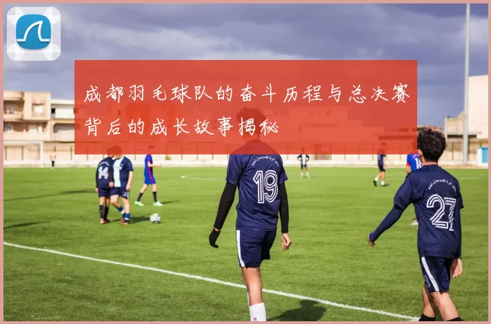 成都羽毛球队的奋斗历程与总决赛背后的成长故事揭秘