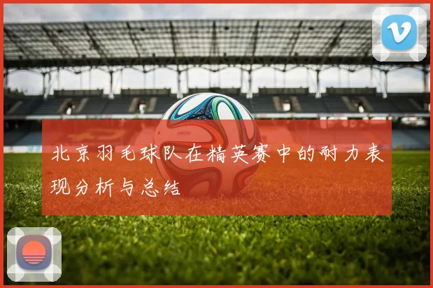 北京羽毛球队在精英赛中的耐力表现分析与总结