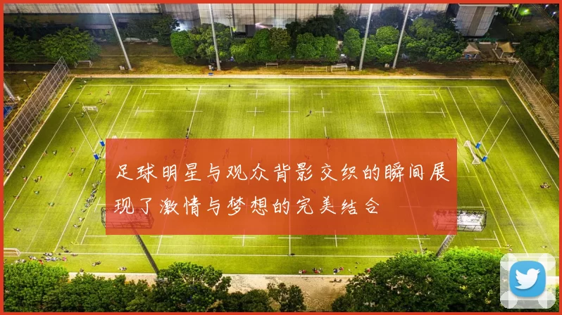 足球明星与观众背影交织的瞬间展现了激情与梦想的完美结合