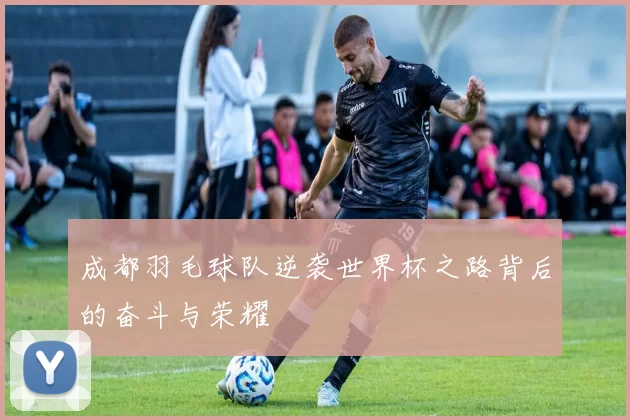 成都羽毛球队逆袭世界杯之路背后的奋斗与荣耀