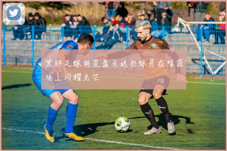 黑胖足球明星盘点这些球员在绿茵场上闪耀光芒