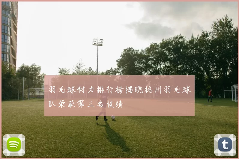羽毛球耐力排行榜揭晓杭州羽毛球队荣获第三名佳绩