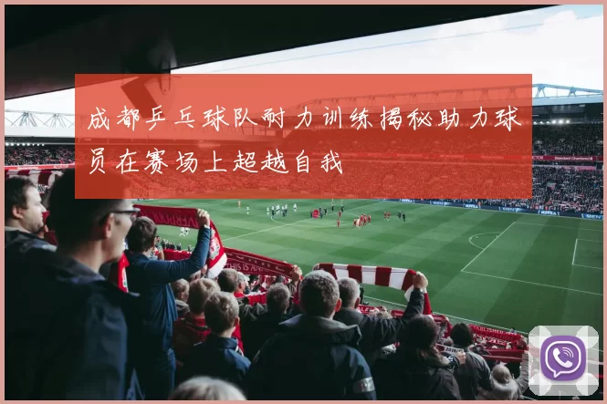 成都乒乓球队耐力训练揭秘助力球员在赛场上超越自我