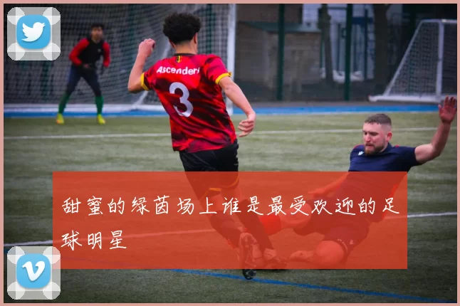 甜蜜的绿茵场上谁是最受欢迎的足球明星