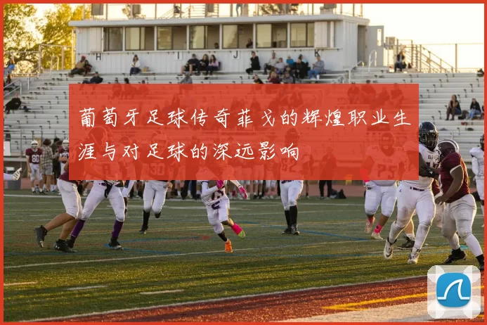葡萄牙足球传奇菲戈的辉煌职业生涯与对足球的深远影响