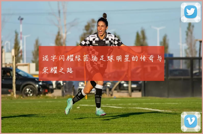 诺字闪耀绿茵场足球明星的传奇与荣耀之路