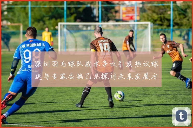 深圳羽毛球队战术争议引发热议球迷与专家各执己见探讨未来发展方向