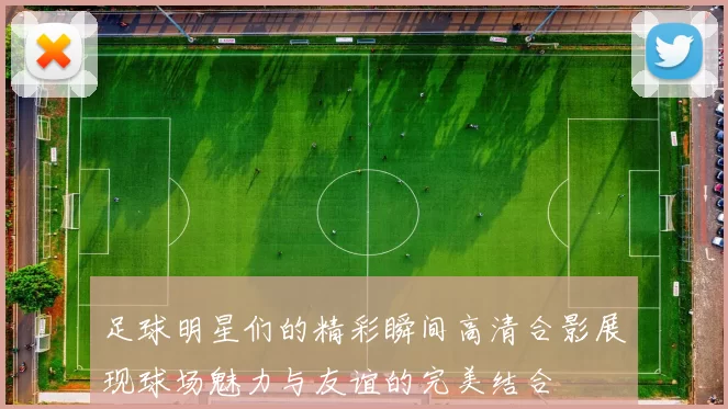 足球明星们的精彩瞬间高清合影展现球场魅力与友谊的完美结合