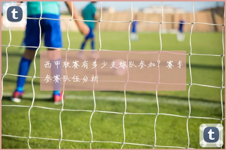 西甲联赛有多少支球队参加？赛季参赛队伍分析