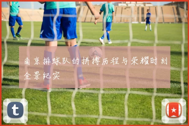 南京排球队的拼搏历程与荣耀时刻全景纪实