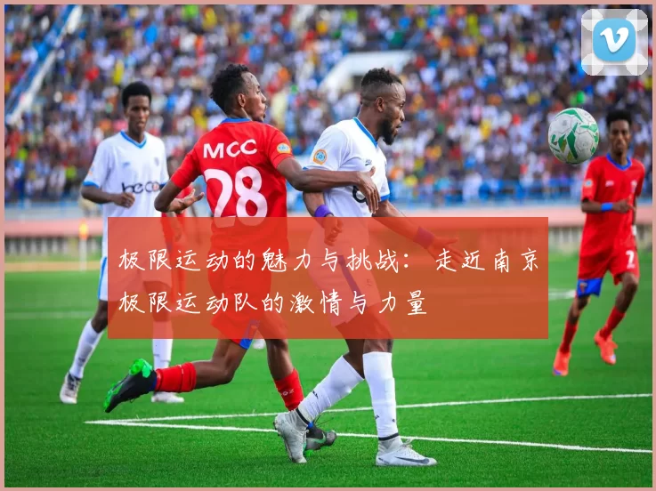极限运动的魅力与挑战：走近南京极限运动队的激情与力量
