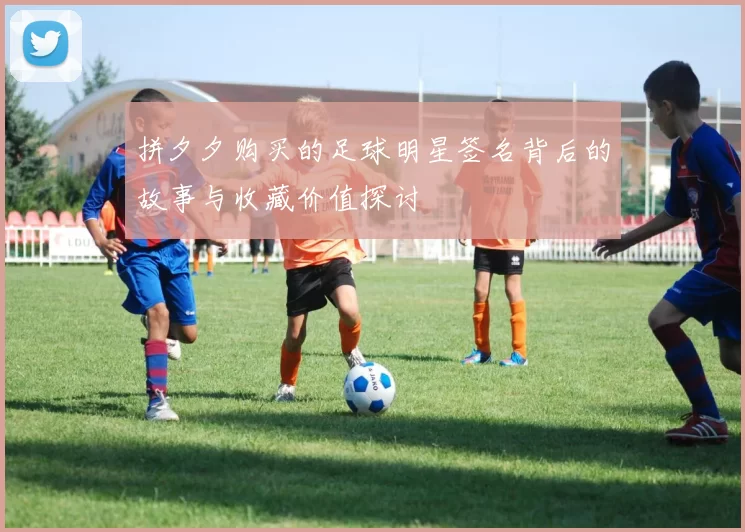 拼夕夕购买的足球明星签名背后的故事与收藏价值探讨