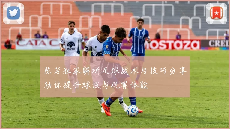 陈芳独家解析足球战术与技巧分享助你提升球技与观赛体验