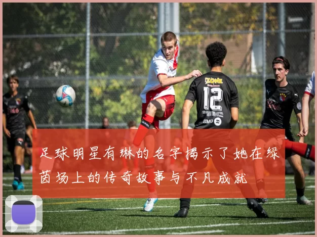 足球明星有琳的名字揭示了她在绿茵场上的传奇故事与不凡成就