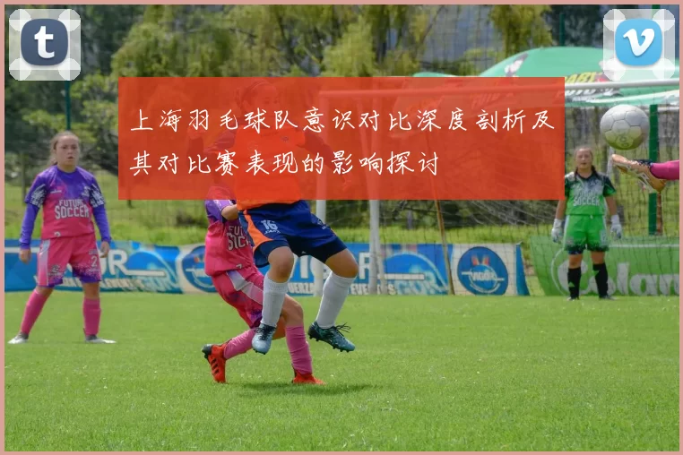 上海羽毛球队意识对比深度剖析及其对比赛表现的影响探讨
