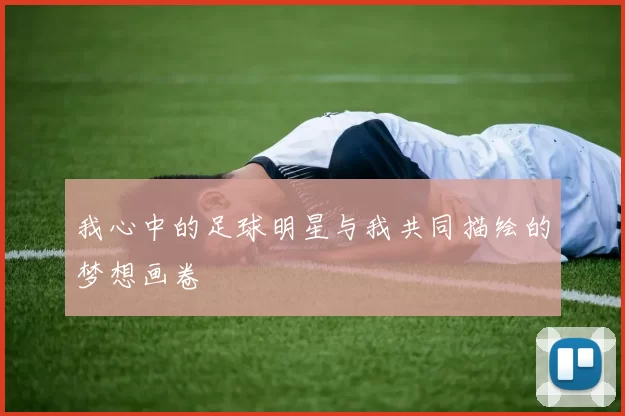我心中的足球明星与我共同描绘的梦想画卷