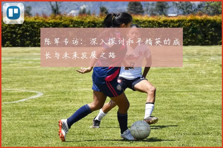 陈军专访：深入探讨和平精英的成长与未来发展之路