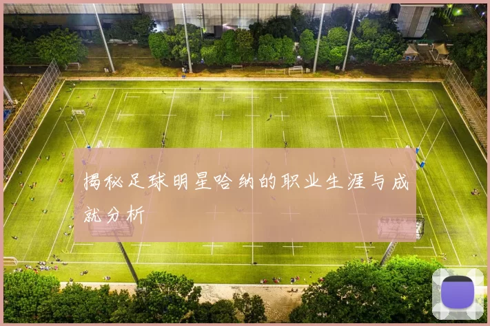揭秘足球明星哈纳的职业生涯与成就分析