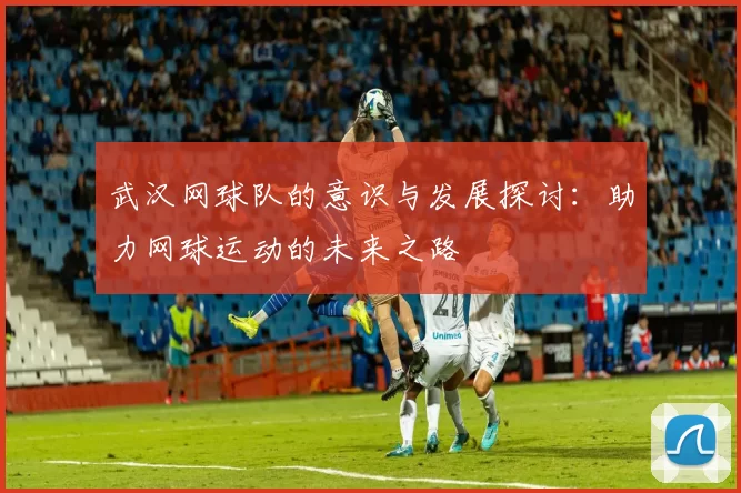 武汉网球队的意识与发展探讨：助力网球运动的未来之路