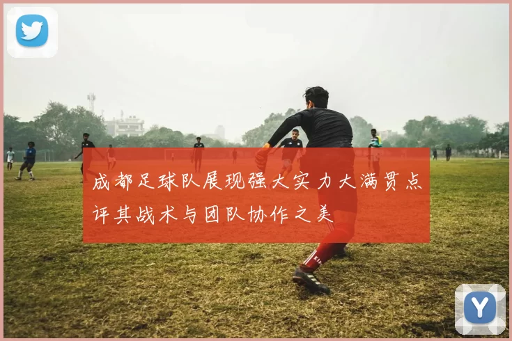 成都足球队展现强大实力大满贯点评其战术与团队协作之美
